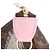 Mini Pochette Accessoires Vivienne a Parigi in Monogramma Marrone Louis Vuitton - vista 5