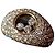 Chopard Halbbandring Happy Diamond Kollektion Golden