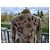 Etro Wool Embroidered Coat with Sequins Multiple colors - view 12