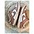 Sneakers Nike Dunk Low Rosa e Bianco - vista 5