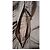 Giacca beige Armani Jeans - vista 7