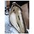 Borsa a Spalla/Crossbody Gucci GG Supreme Marrone/Crema Crudo - vista 13