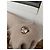 Blumarine lange Weste mit Fuchsfellkragen beige - Ansicht 4