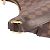 Borsa a Spalla Bloomsbury PM Damier Louis Vuitton Marrone Damier ebene - vista 8