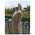 Miu Miu Seidenkleid Creme Roh - Ansicht 9