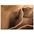 BAG TOTE LOUIS VUITTON PALERMO PM M40145 IN CANVAS MONOGRAM Marrone - vista 14