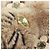 Portachiavi Charm Gatto Monogramma Louis Vuitton Marrone D'oro - vista 6