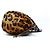 Borsa a mano in pelle di pony con stampa leopardata marrone Prada - vista 4
