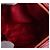 Salvatore Ferragamo Ferragamo Lydia Mini Crossbody Rossa Rosso - vista 6