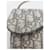 Saddle Dior Borsa WOC obliqua grigia Marrone  - vista 10