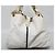 Jimmy Choo Borsa a tracolla bianca Bianco - vista 5