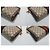 Borsa a tracolla Gucci Ophidia GG Small Chain Marrone - vista 7