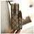 Gucci Borsa Mini Ophidia Sling in tessuto rivestito beige Marrone - vista 8