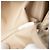 Bolsa Tote Bottega Veneta Beige Nylon Intrecciolusion - vista 5