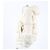 Moncler Steppjacke - Ansicht 2