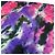LOUIS VUITTON Etoile Monogram RGB Grande Sciarpa Multicolore Donna - vista 5