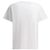 Alexander Mcqueen T-Shirt QTADD Bianco - vista 5