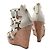Valentino Gold Rockstud Keilabsatzschuhe Braun - Ansicht 4