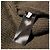 Balenciaga Multi-Logo Reversible Jacket Multiple colors - view 8