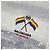 Day Balenciaga Oversized Hybrid Anorak T-Shirt Regenbogenflagge Braun - Ansicht 3
