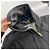 Burberry Felpa con cappuccio CLAREDON MELANGE CARBONE Nero - vista 13