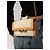 Saint Laurent Le Maillon Wallet on Chain Tela Beige e Pelle - vista 6