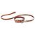 Hermès Hermes Dog Collar & Leash Set