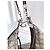 Gucci Ataushu Medium Schultertasche aus Canvas Braun - Ansicht 17