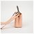 Louis Vuitton Borsa a Spalla Capucines Mini Tote Rosa - vista 5