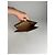 Clutch in pelle Gucci Ophidia vintage grigio marrone - vista 4