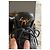 Giuseppe Zanotti High-Top-Sneaker aus schwarzem Leder - Ansicht 2