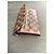 Cartera Sarah Louis Vuitton Damier Ebene Castaño - vista 8