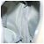 Camera Borsa a tracolla Chanel Sport Line in nylon piccola Bianco - vista 5