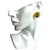 Orecchini Clip Coco Mark di Chanel D'oro