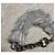 Bracciale Emporio Armani Argento - vista 3