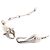 Bracelet Gancini Charm Salvatore Ferragamo Argenté - vue 4