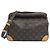 Borsa a Spalla Monogram Nile di Louis Vuitton Marrone