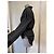 Conjunto Negro Drapado de Thierry Mugler - vista 12