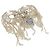 Orecchino LOEWE in tela bianca e argento Auth bs32653V Bianco