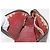 LOUIS VUITTON Kosmetiktäschchen PM Damier Ebene N47516 Authentisch BA10024 - Ansicht 18