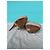 Giuseppe Zanotti Sharon 140 Stiletto Nude Leder Peeptoe Beige - Ansicht 6
