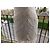 Abito da Sposa Blumarine Crudo - vista 12