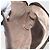 Borsa Sherry Line GG Supreme Web di GUCCI in PVC beige e oro 904 02 047 Auth 169025 D'oro - vista 18