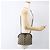 Borsa Sherry Line GG Supreme Web di GUCCI in PVC beige e oro 904 02 047 Auth 169025 D'oro - vista 21