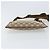 Borsa a Spalla GG Canvas Gucci Beige Argento 27639 Auth 170299 - vista 9
