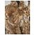 Autre Marque Fuchsfelljacke caramel Größe 42 Karamell - Ansicht 4
