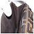 FENDI Zucca Canvas Schultertasche Schwarz Braun Silber Authentisch 149894V - Ansicht 24