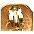 Vintage Gold Plated Logo Löwen Clip Ohrringe von Chanel Golden - Ansicht 3