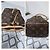 LOUIS VUITTON Borsa a secchiello Nano Noé Monogram Beige/Marrone - vista 6