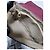 Gucci Borsa a Spalla Clapton PM Damier Ebene Louis Vuitton Marrone/Vino - vista 10